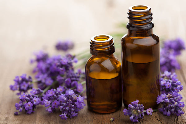 LAVENDER pure essential oil - 24 mL